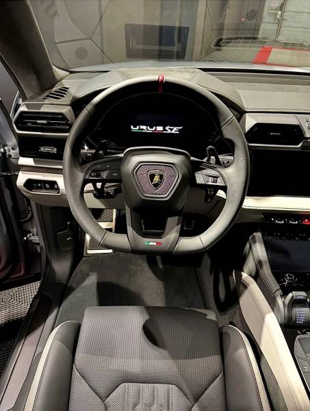 Rénovation et protection des cuirs d'un véhicule proche de Lyon